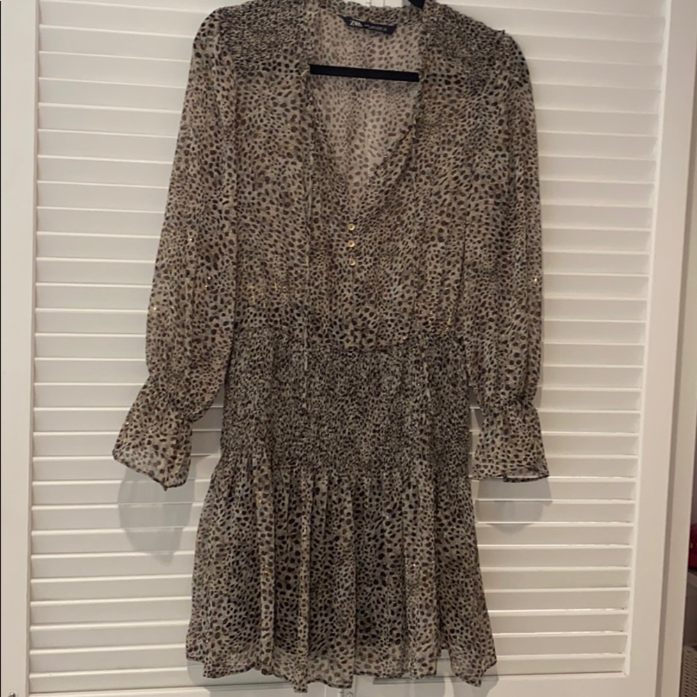 Zara dress